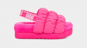 Papuci Ugg Scrunchita Dama Roz | 8175JDTHB